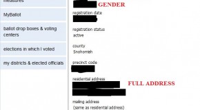 Voter registration webpage is an identify thief’s best friend