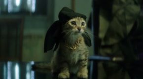 Keanu film review